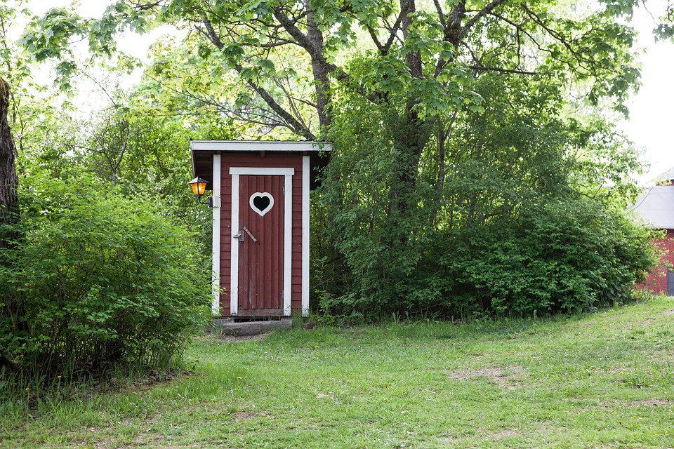 toilette ecologique